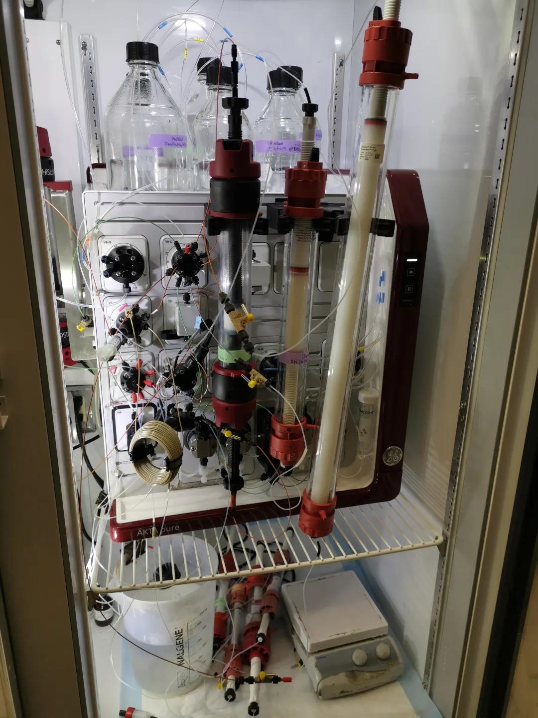 1583195968286227.jpg 1583195968286227.jpg