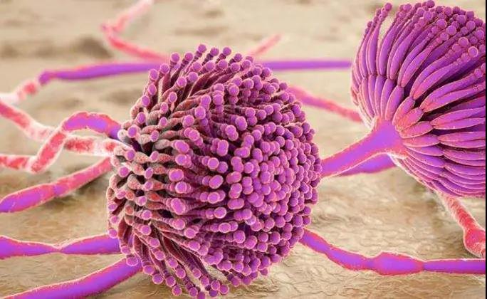 1597203997226175.jpg 1597203997226175.jpg