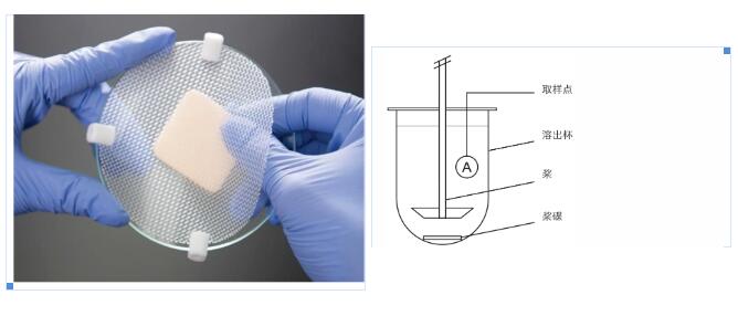 1600410402936586.jpg 5.jpg