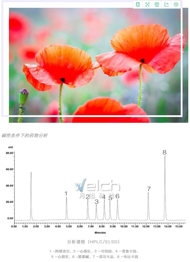 1613633748798067.jpg 2.jpg