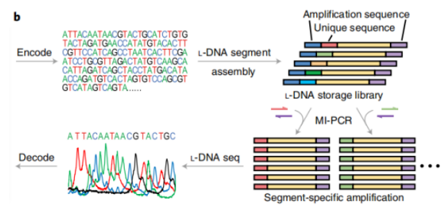 1663901989361983.png 微信截圖_20220923105912.png