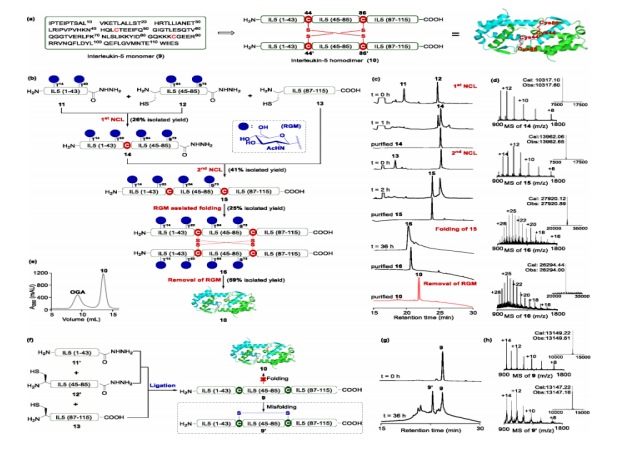 1663902009443528.png 微信截圖_20220923105924.png