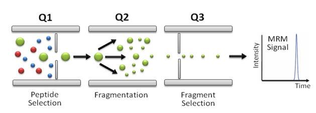 1676612035105152.png 圖片2.png