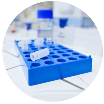 1684831843158399.png 3.png