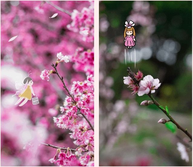 1710746940566659.png 1.png