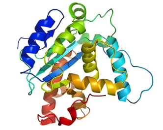 1711096290122431.png 2.png